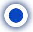 bullet